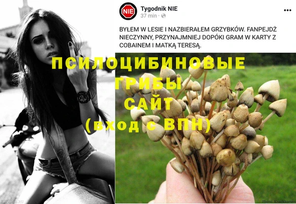 каннабис Надым