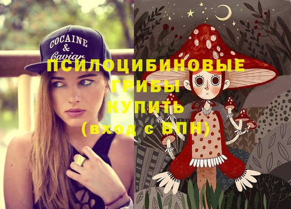 герыч Михайловск