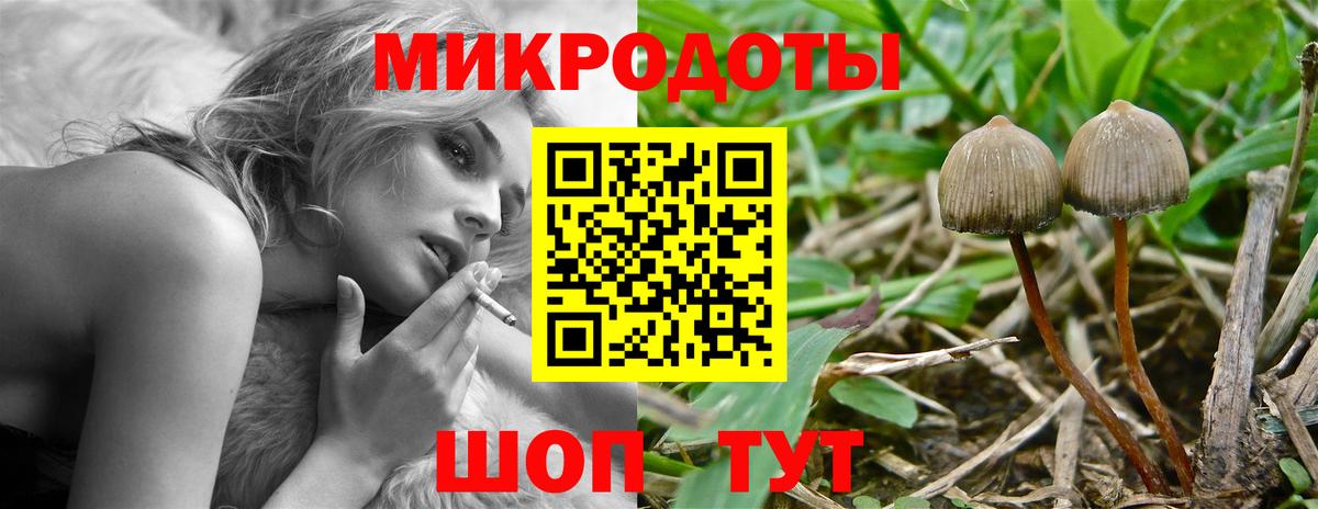 Галлюциногенные грибы Psilocybine cubensis  Вход с VPN  Санкт-Петербург 